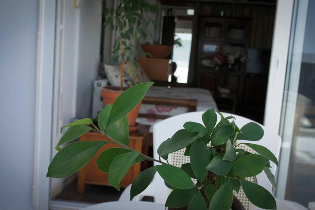 Stavros Amazing Apartment In The Centre Of Kos Esterno foto